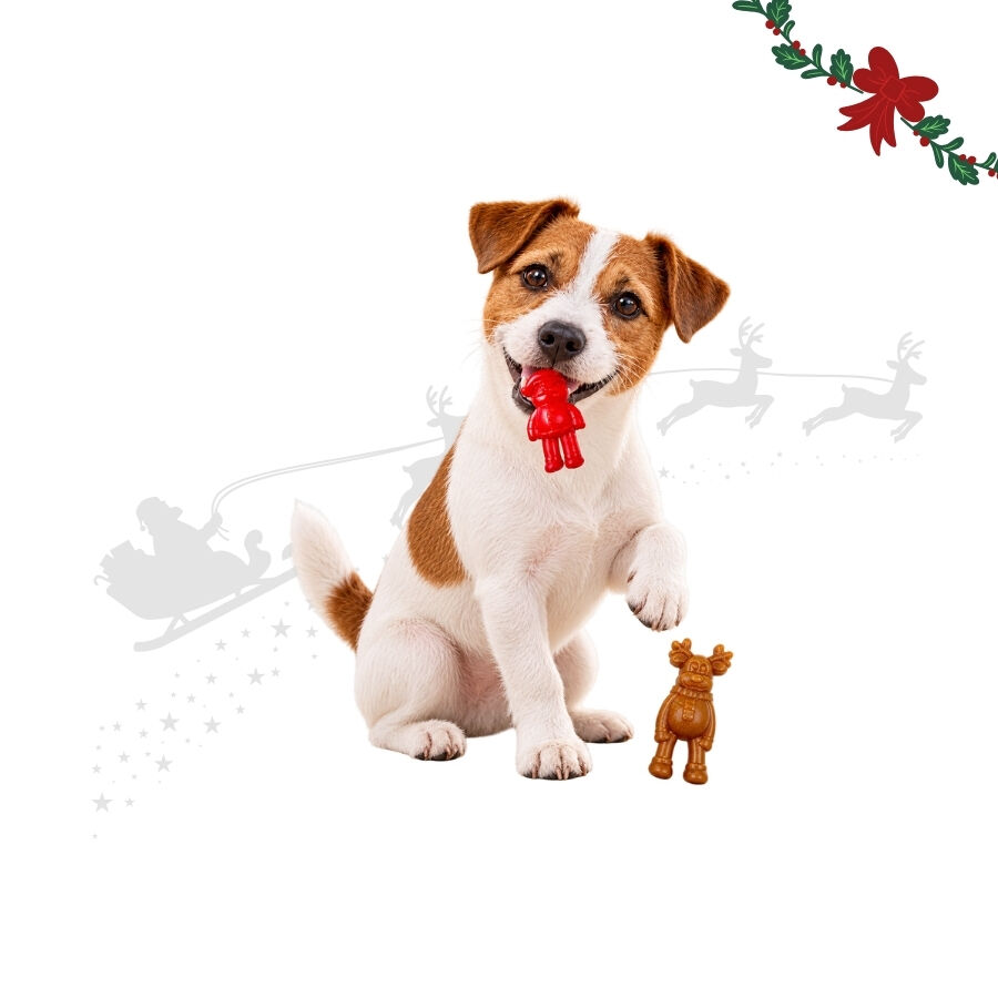 1 pack x 2 uds. Wonder Christmas Figuras Masticables Snacks para perros, , large Imagen numero 1