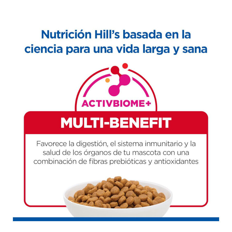 Hill&#039;s Science Plan Adult Large Pienso Pollo para perros thumbnail