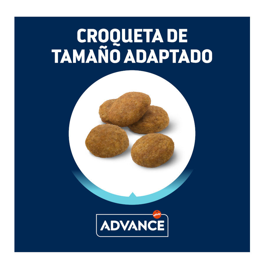 Advance Active Defense Medium Puppy Pollo y Arroz pienso para perros thumbnail