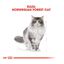 10 kg Royal Canin Adult Norwegian Forest pienso para gatos, , large indicador imagen numero 4