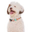 Dukier Peace collar para perros, , large indicador imagen numero 2
