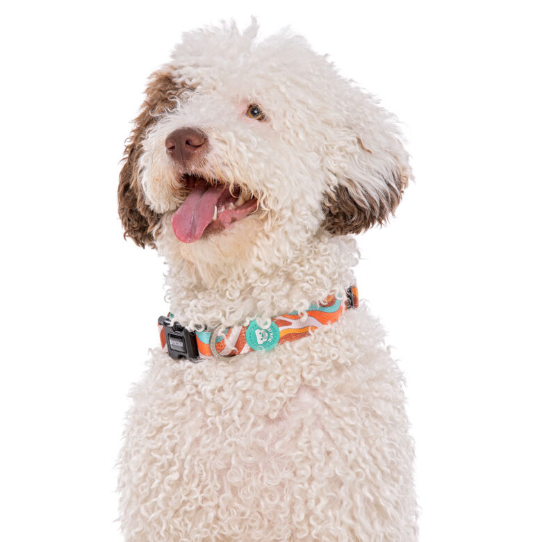Dukier Peace collar para perros thumbnail