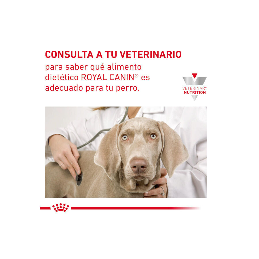 Royal Canin GastroIntestinal Low Fat pienso para perros pequeños thumbnail