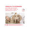 Royal Canin GastroIntestinal Low Fat pienso para perros pequeños, , large indicador imagen numero 8