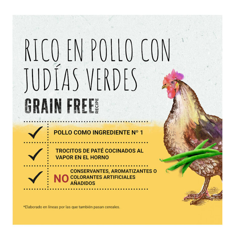 Beyond Grain Free pollo lata para perros, , large image number null
