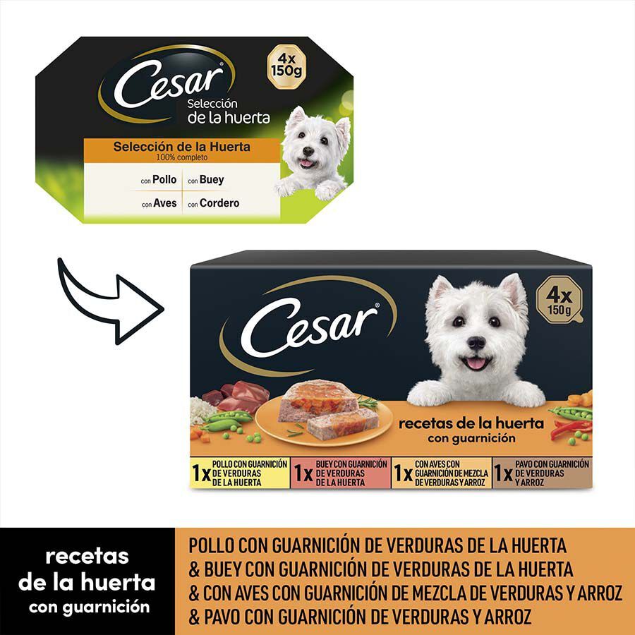 4 tarrinas x 150 g Cesar Recetas de la huerta Tarrina en Pat&eacute; y Gelatina para Perros , , large Imagen numero 2