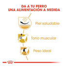 Royal Canin Adult Carlino pienso para perros, , large image number null