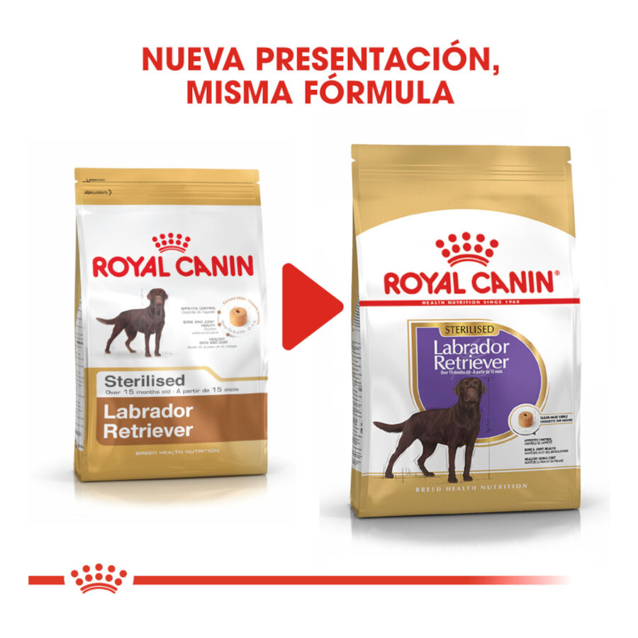 Royal Canin Adult Labrador Sterilised pienso para perros thumbnail