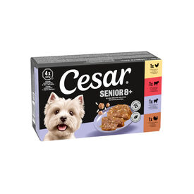 Cesar Carnes Mixtas Tarrina en Gelatina para Perros Senior - Multipack