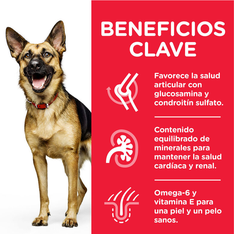 Hill's Science Plan Mature Adult Large Pollo pienso para perros, , large image number null