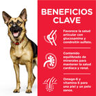 Hill's Science Plan Mature Adult Large Pollo pienso para perros, , large image number null