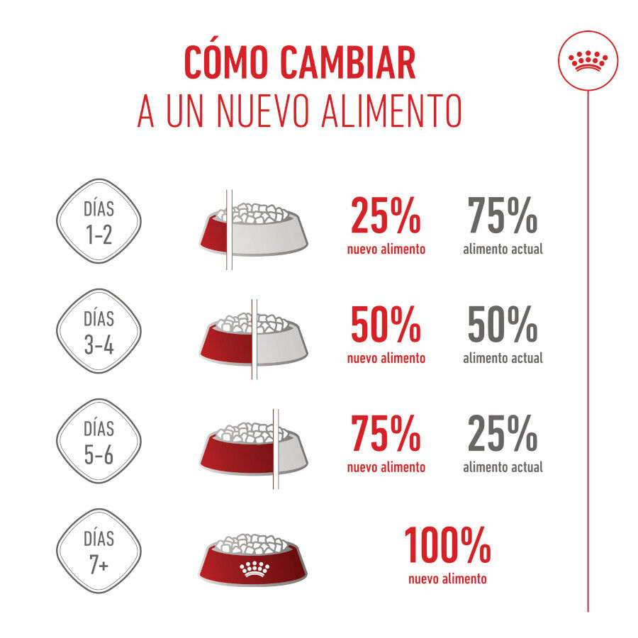 Royal Canin Mother &amp; Babycat pienso para gatos thumbnail