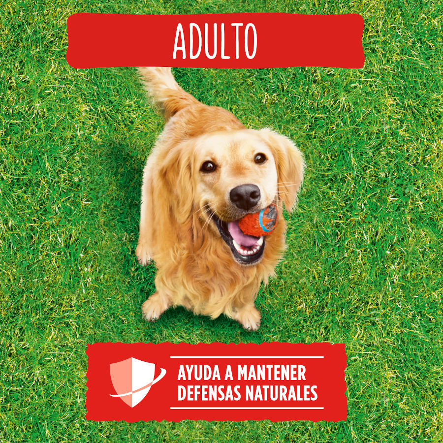 Friskies Adult Buey y Verduras pienso para perros thumbnail