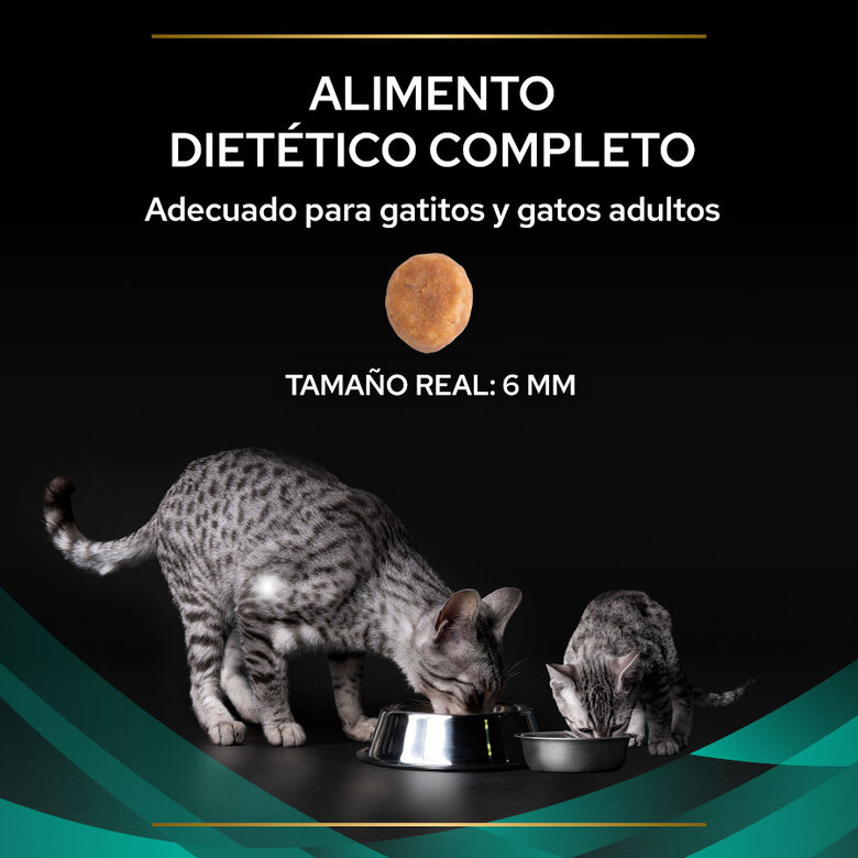 400 g Pro Plan Veterinary Diets EN Gastrointestinal pienso para gatos,  Imagen numero 3 400 g Pro Plan Veterinary Diets EN Gastrointestinal pienso para gatos, , large Imagen numero 3