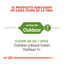 Royal Canin Active Life Outdoor pienso para gatos, , large indicador imagen numero 4