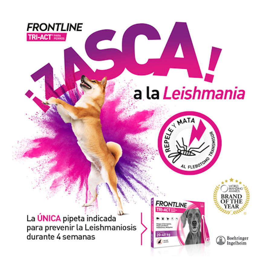 Frontline Tri-Act Pipetas Antiparasitarias para perros 10 - 20 kg, , large Imagen numero 8