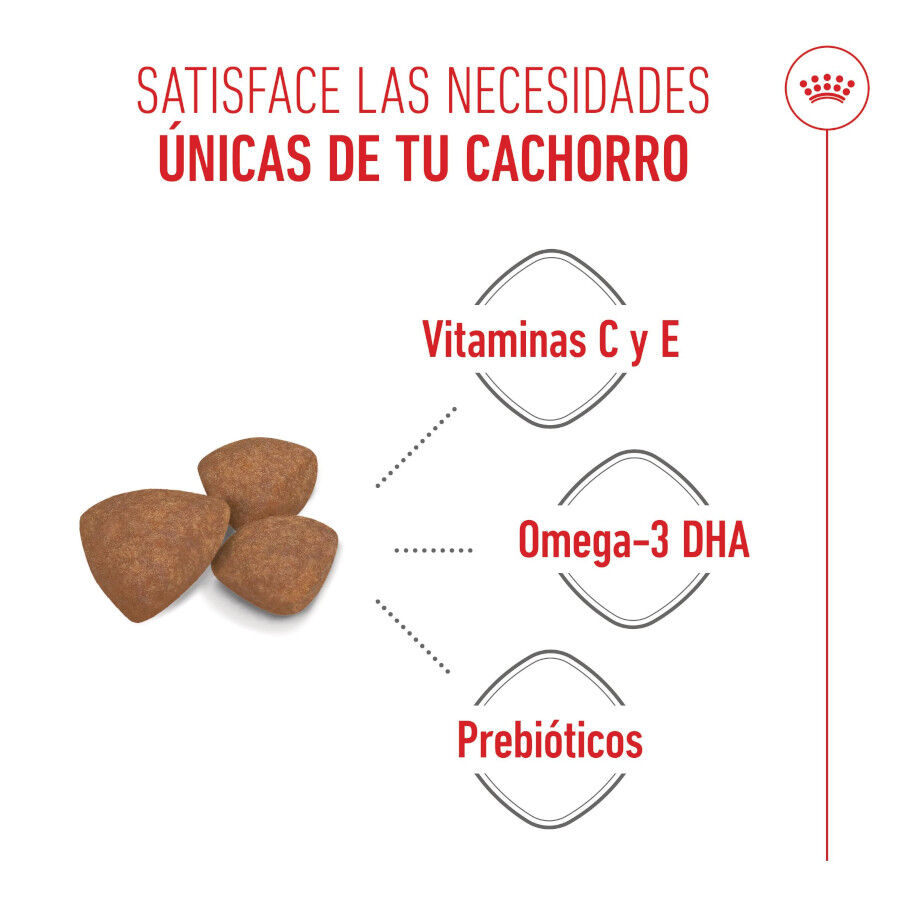 Royal Canin Mini Puppy pienso para perros thumbnail