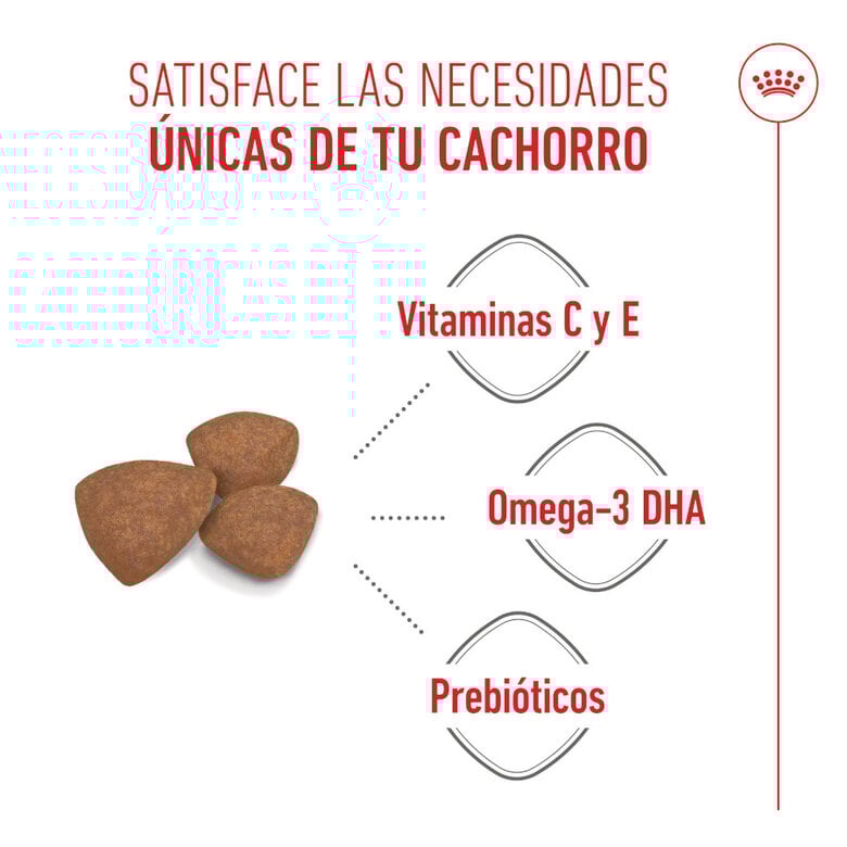 8 kg Royal Canin Mini Puppy pienso para perros,  Imagen numero 4 8 kg Royal Canin Mini Puppy pienso para perros, , large Imagen numero 4