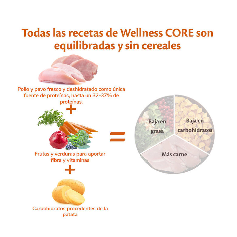 Wellness Core Adult Medium/Large Healthy Pavo Low Fat pienso para perros, , large image number null