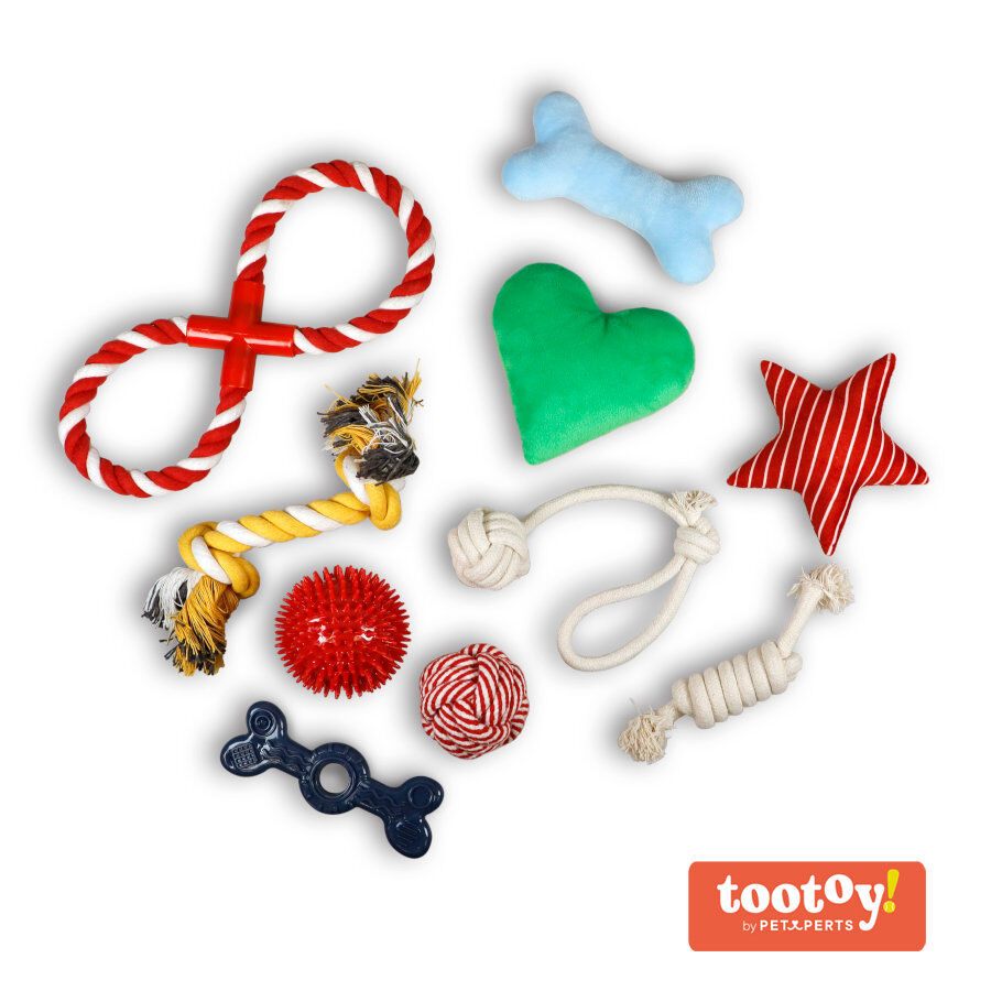 Tootoy! Chew Exploration Toys - Set de juguetes para cachorros thumbnail