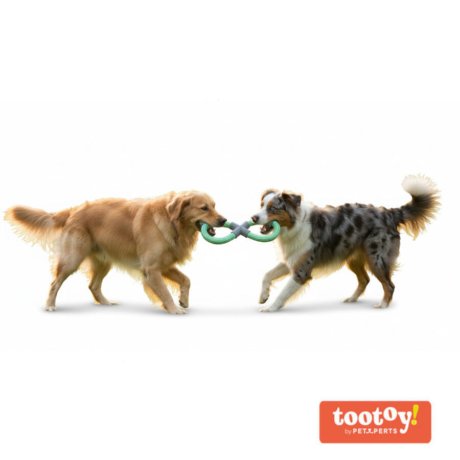 Tootoy! Mordedor de Cuerda Doble Azul y Verde para perro, , large Imagen numero 3