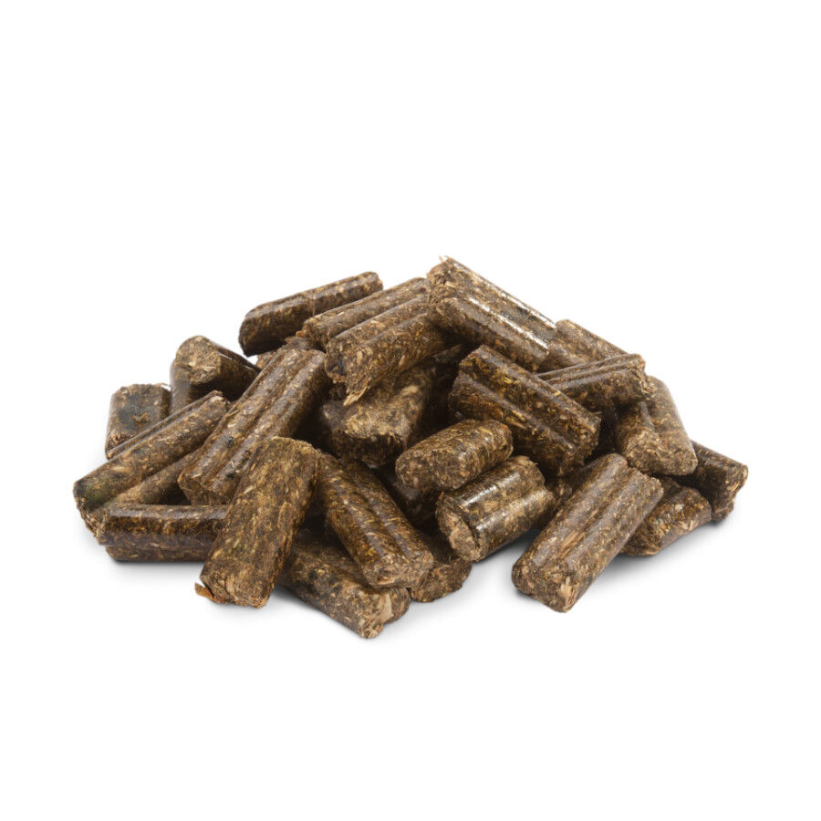 Versele-Laga Crispy Pellets pienso para conejos, , large Imagen numero 2