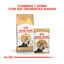 10 kg Royal Canin Persian pienso para gato adulto persa, , large indicador imagen numero 3