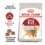 10 kg Royal Canin Regular Fit 32 pienso para gatos, , large indicador imagen numero 2