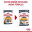 85 g Royal Canin Intense Beauty gelatina sobre para gatos, , large indicador imagen numero 2