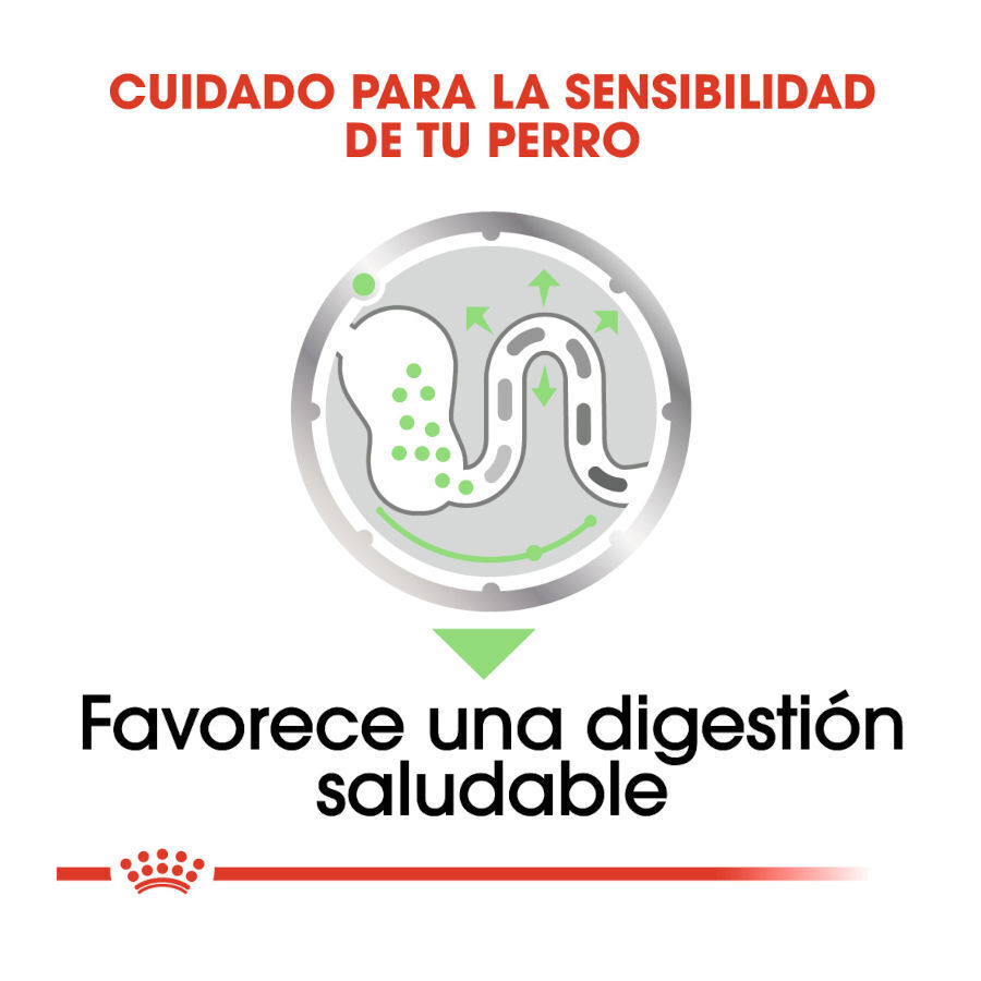 Royal Canin Digestive Care Paté sobres para perros thumbnail
