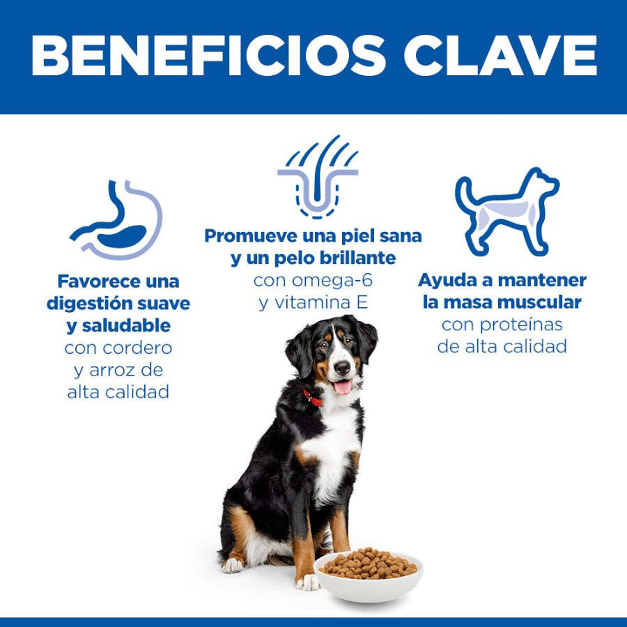 Hill&#039;s Science Plan Adult Large Breed pienso cordero y arroz para perros de razas grandes thumbnail