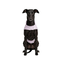 Gotoo Abrigo Lila para perros, , large indicador imagen numero 7
