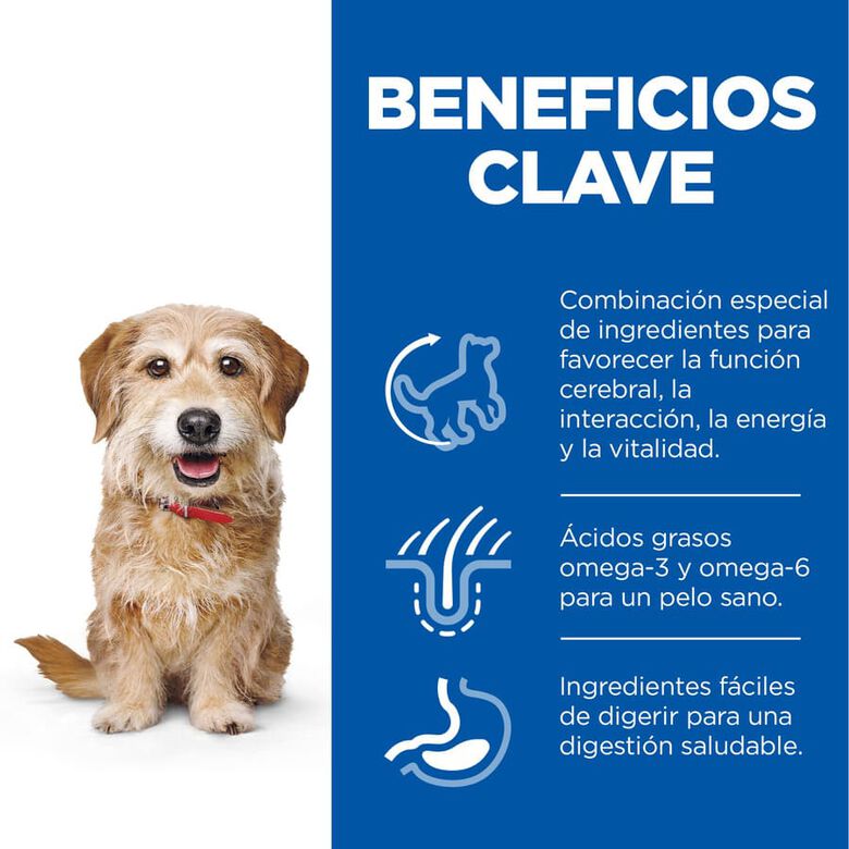 Hill&#039;s Science Plan Youthful Vitality Adult +7 Small y Mini Pollo pienso para perros thumbnail