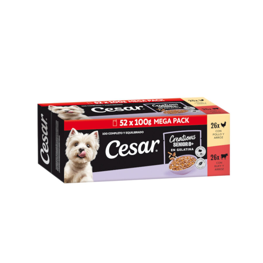 52 sobres x 100 g Cesar Carnes Mixtas Gelatina en Bolsita para Perros Senior 8+ - Multipack, , large Imagen numero 1