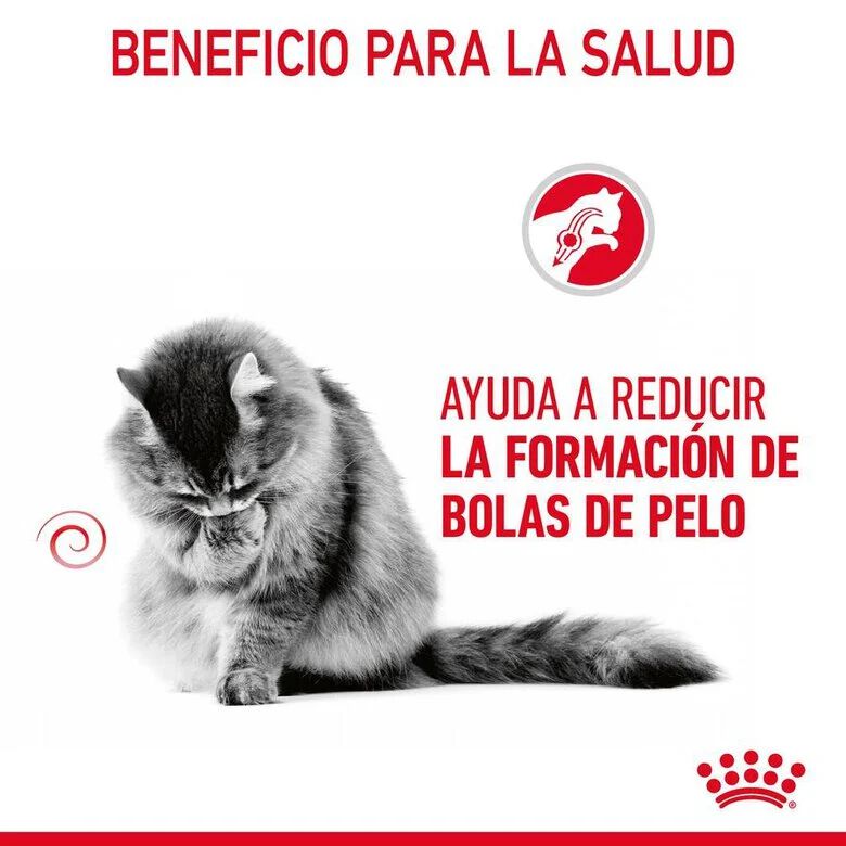Royal Canin Hairball sobre en salsa para gatos thumbnail
