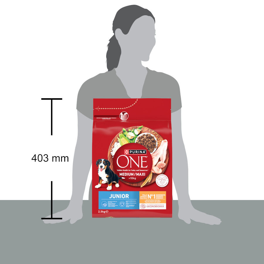 2,5 kg Purina One Pienso Pollo para perros junior, , large Imagen numero 4