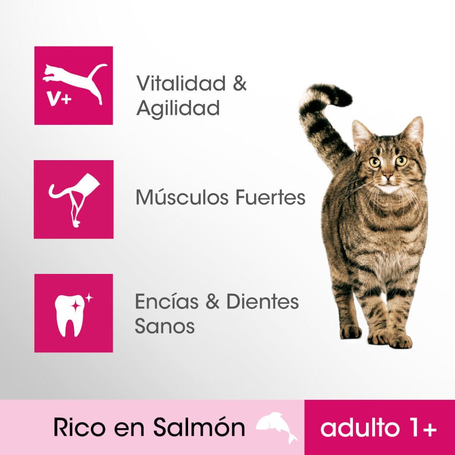 1.4 kg Perfect Fit Adult 1+ Esterilizado Salm&oacute;n pienso para gatos, , large Imagen numero 2