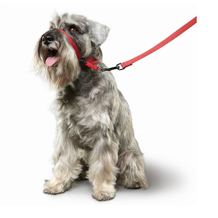 Beaphar Gentle Leader Collar de adiestramiento Rojo para perros thumbnail