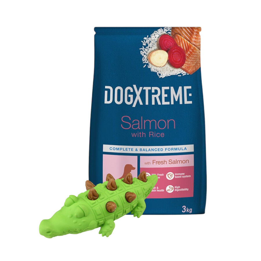 Pack Juguete Mordedor Tootoy! + 3 kg Pienso Dogxtreme Adult Mini Salmón para perros