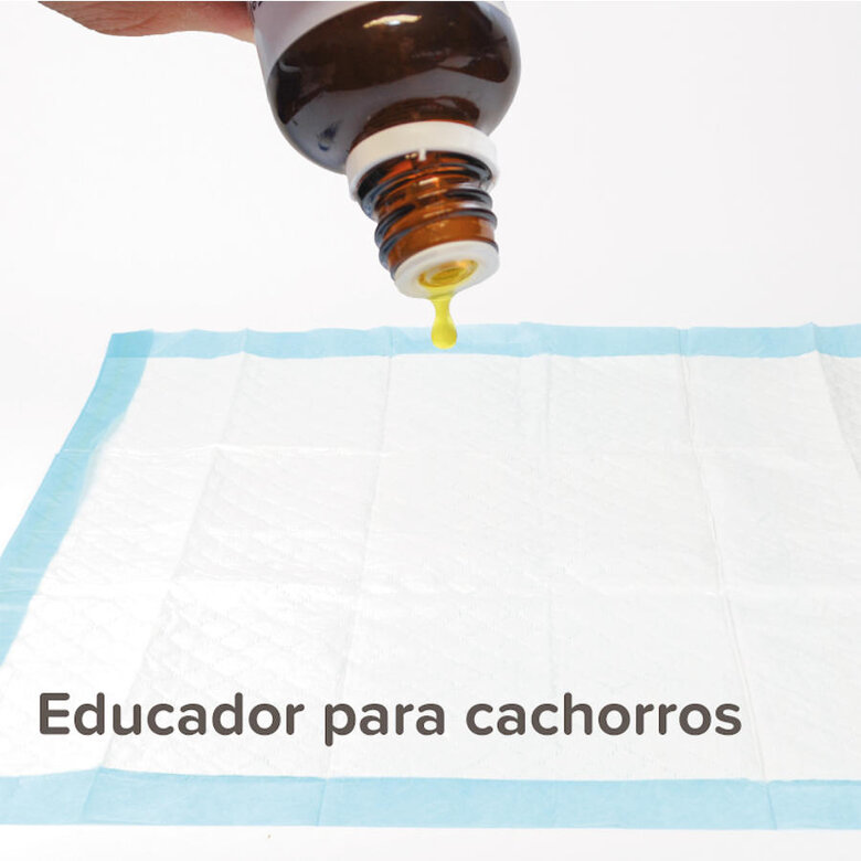 Beaphar Puppy Trainer Atrayente de Micciones en gotas para cachorros, , large image number null