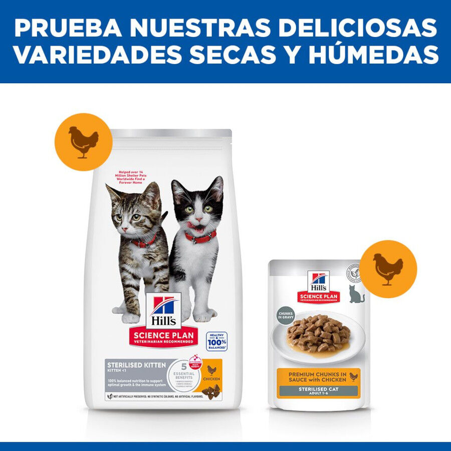 7 kg Hill's Science Plan Sterilised Kitten Pollo pienso para gatos, , large Imagen numero 8