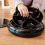 Cecotec Pumba 1600 Purrfect Meal Comedero Dispensador para perros y gatos, , large indicador imagen numero 3