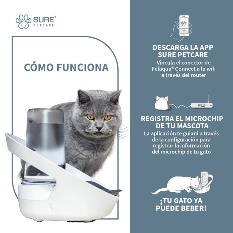 Sure Petcare Felaqua Connect Bebedero Automático para gatos thumbnail