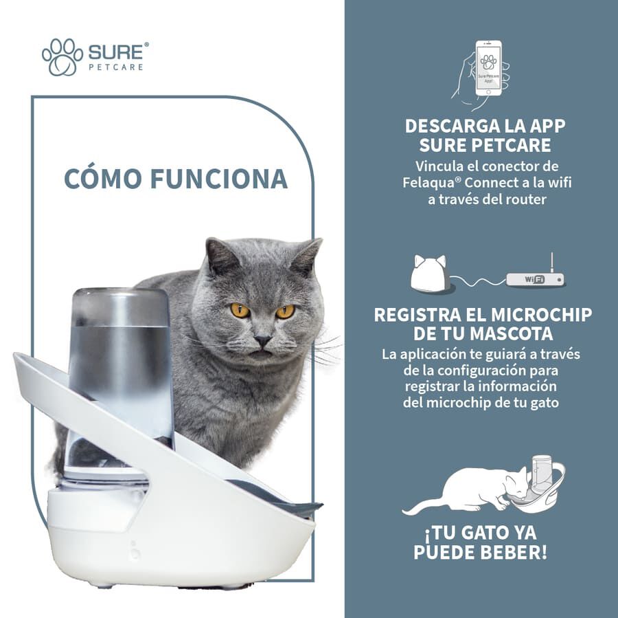 Sure Petcare Felaqua Connect Bebedero Automático para gatos thumbnail