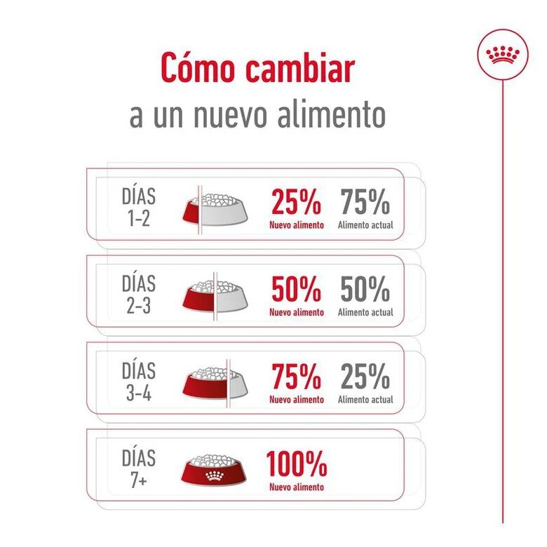 Royal Canin Giant Adult pienso para perros thumbnail