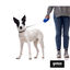 Gotoo Collar de nylon negro para perros, , large indicador imagen numero 4