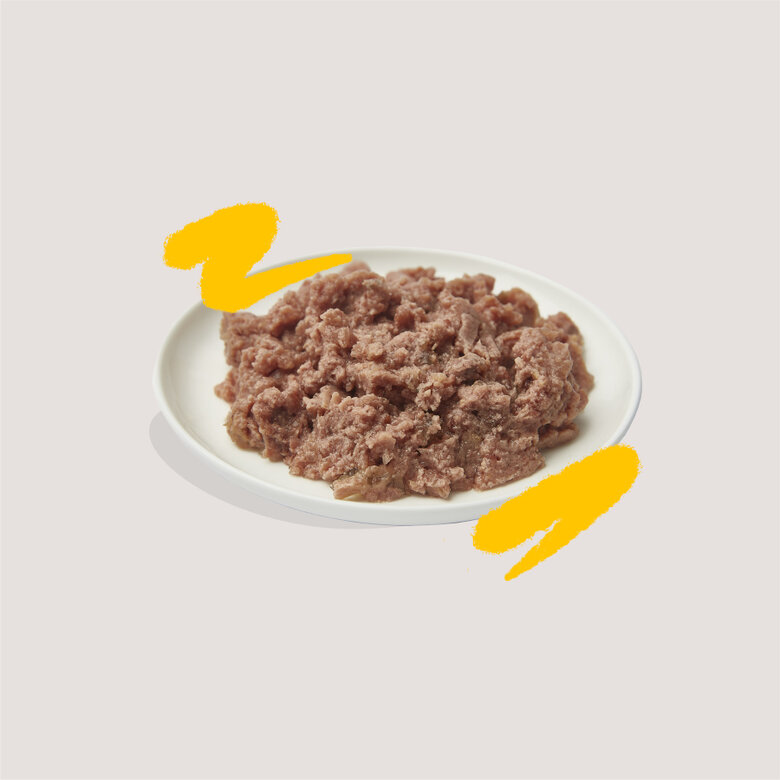 Edgard & Cooper Tarrina en Paté para gatos – Multipack, , large image number null