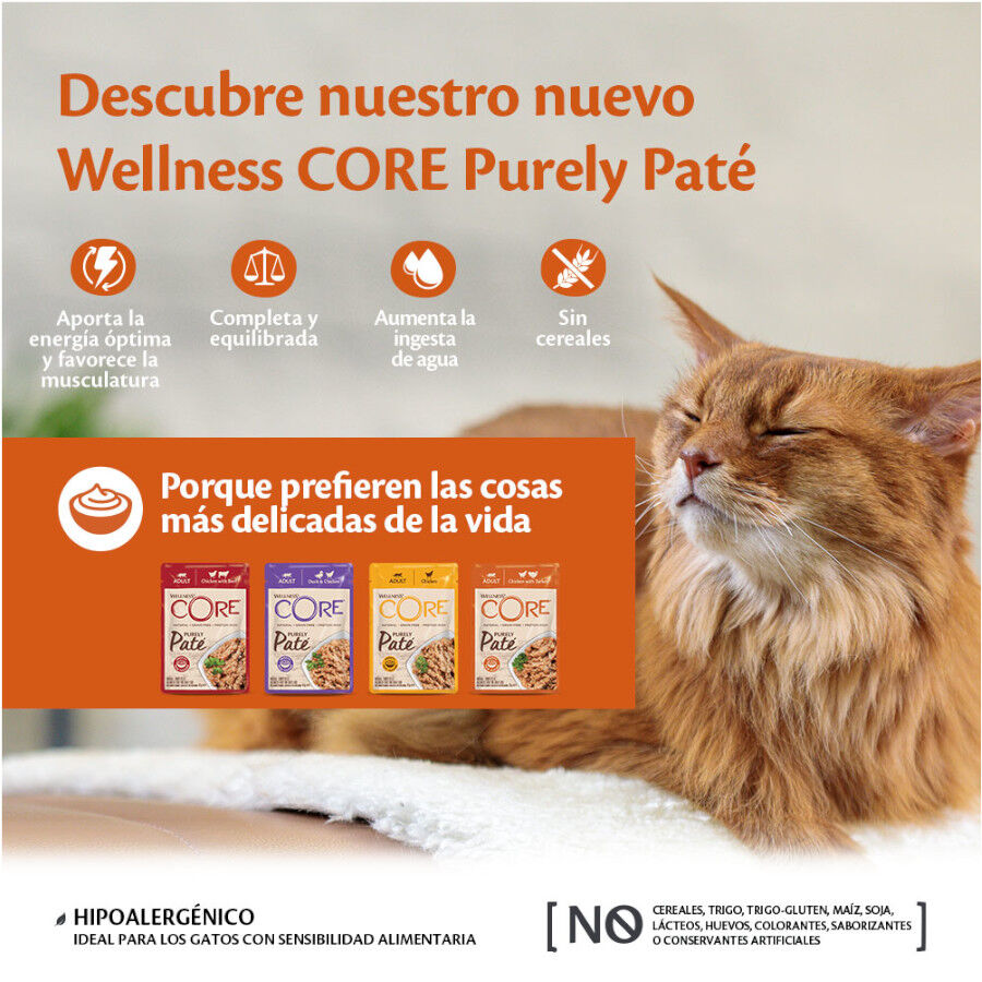 Wellness Core Adult Pollo y Pavo en Paté sobre para gatos thumbnail