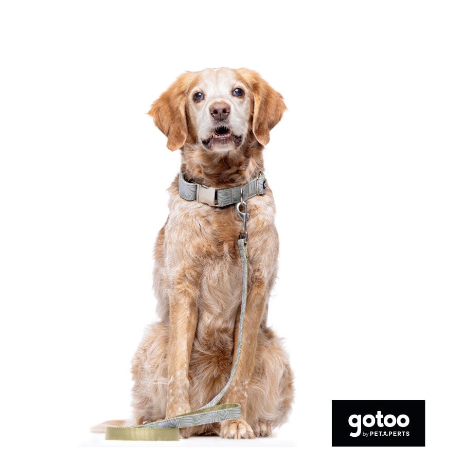 Correa estampada hojas para perros thumbnail