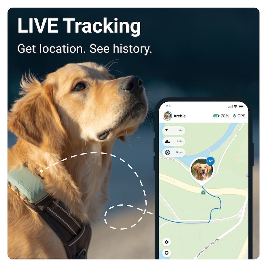 Tractive GPS Localizador XL para perros thumbnail